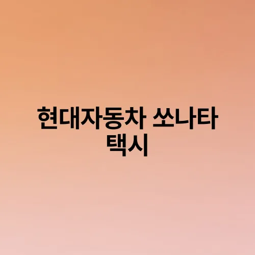 현대자동차 쏘나타 택시