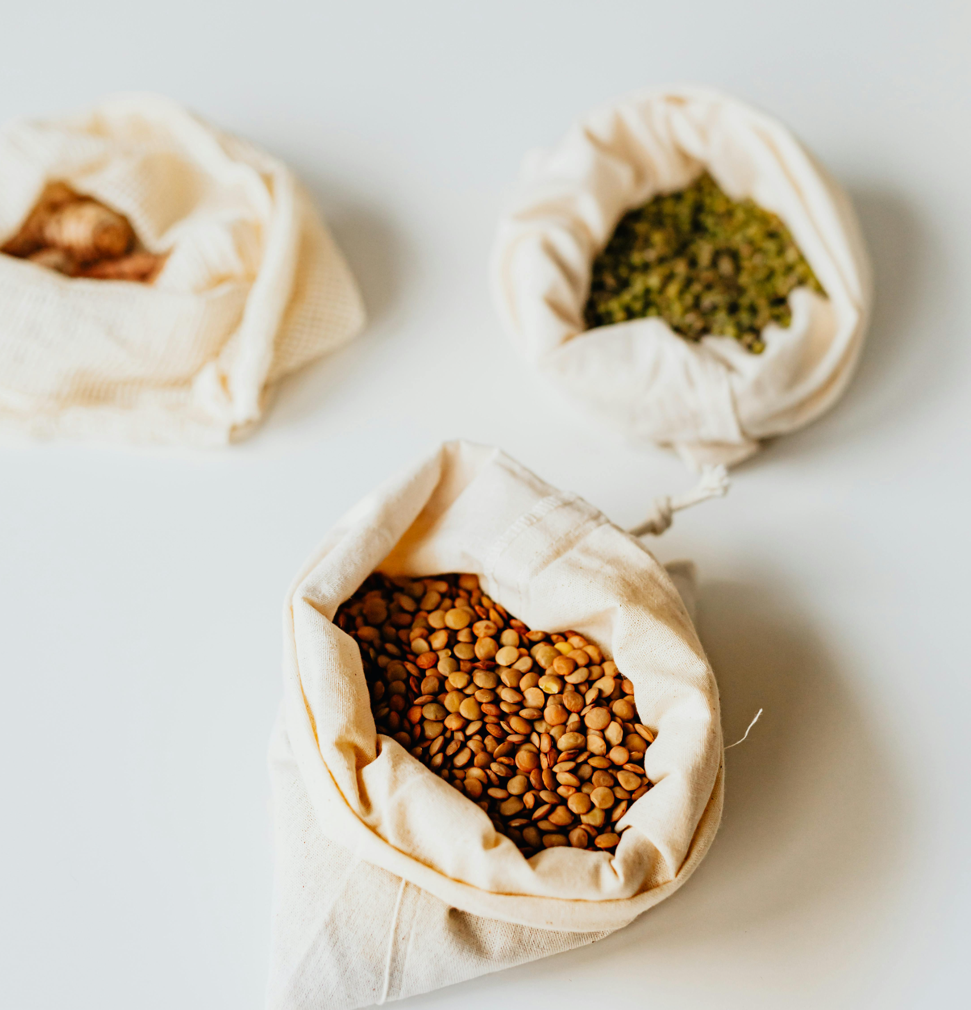 대두 단백질로 근육만들기