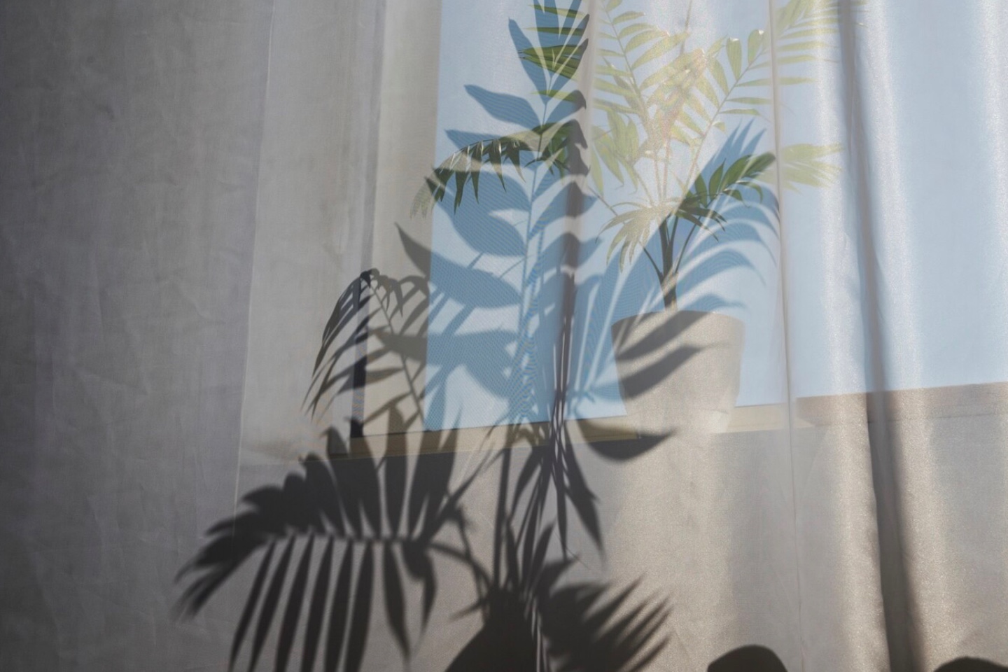 커튼이 처진 실내