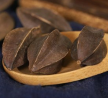 사군자열매-사진3