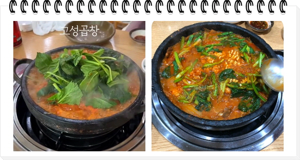 전현무계획2 통영 40년전통 곱창전골 양구이 대창구이 후기