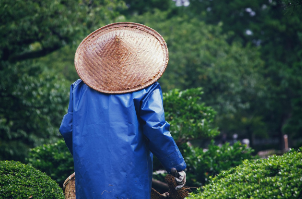[갓 만들기] 전통 장인의 손끝에서 탄생한 품격
