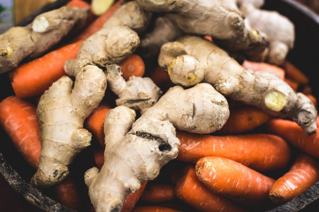 돼지감자_이야기