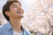 스프링 피버 뜻