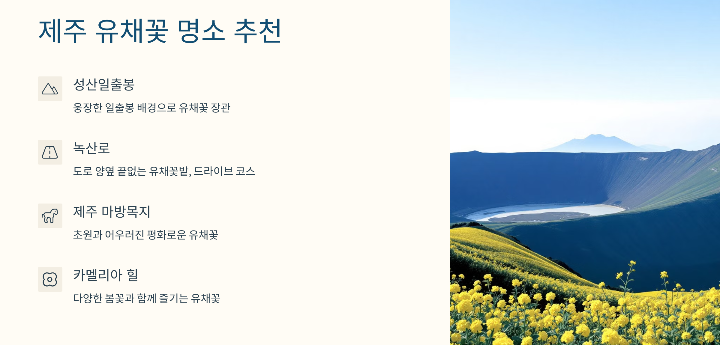 유채꽃 사진