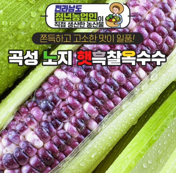캐시닥 전라남도 청년 농업인 퀴즈 썸네일