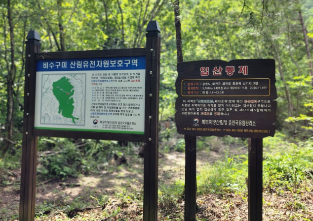 화천 비수구미 트레킹 입산 안내