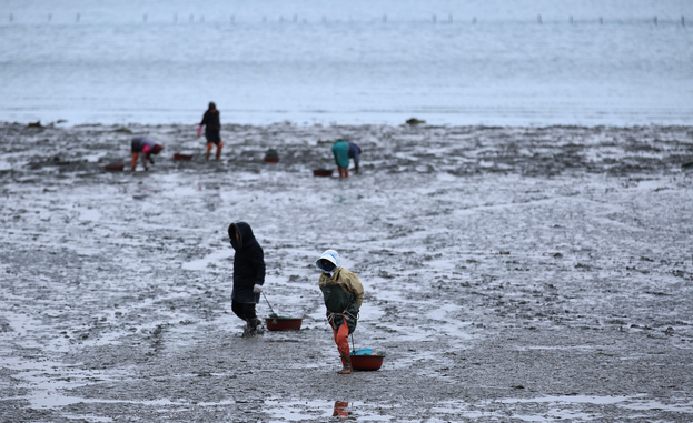 고창의 발효젓갈, 갯벌에서 묻은 시간의 맛