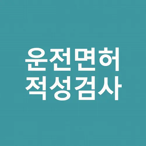 운전면허 적성검사