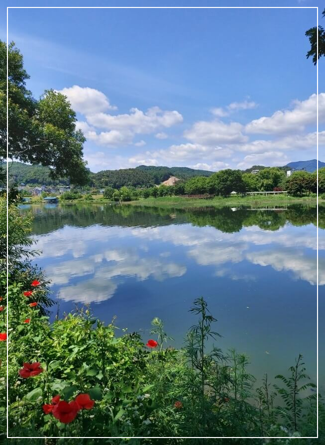 가평 가볼만한곳 베스트10 자라섬 남도꽃정원