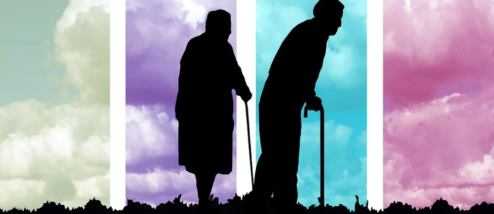 퇴직연금 국가별 비교분석