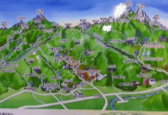 '피톤치드' 걷기좋은 휴양림 BEST 8곳