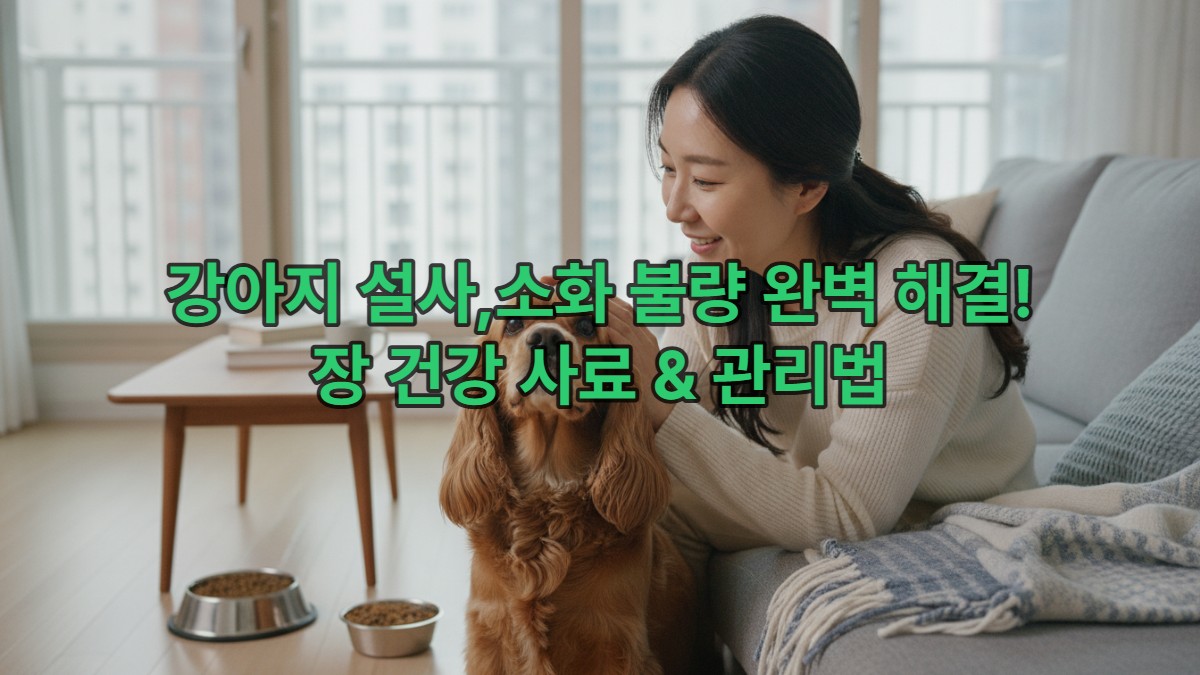 주인이 강아지의 머리를 쓰다듬고 있고, 강아지는 밝은 표정으로 주인을 올려다보고 있습니다. 강아지 옆에는 프리미엄 사료 그릇이 놓여 있습니다. 전반적으로 강아지의 장 건강 개선으로 인한 행복한 반려 생활을 상징하는 따뜻한 분위기의 장면입니다.