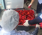 고추세척