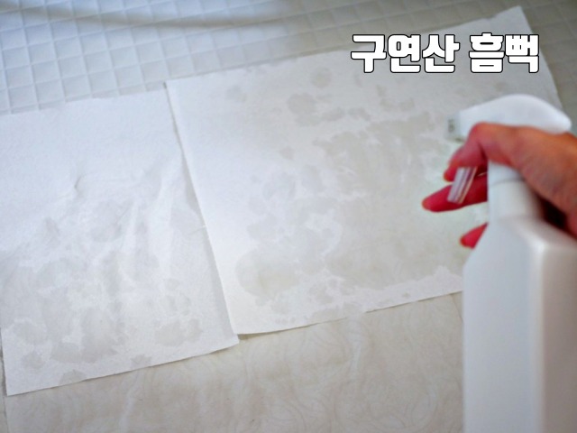 봄맞이 대청소 소청소 팁 욕실 바닥 타일 변색,팁줌