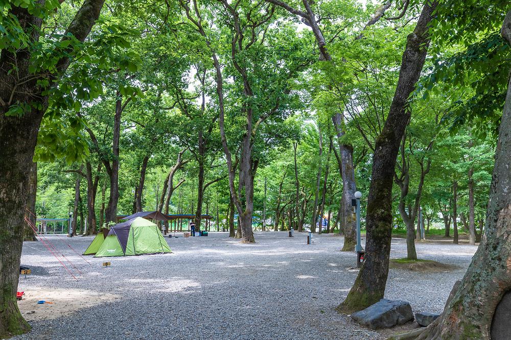 충북 금관숲캠핑장 소개