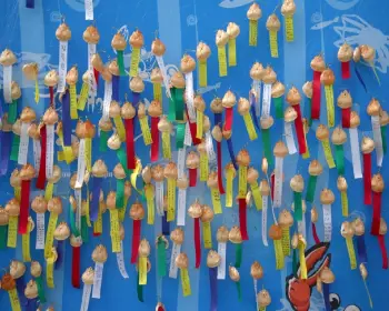 울진대게축제_18