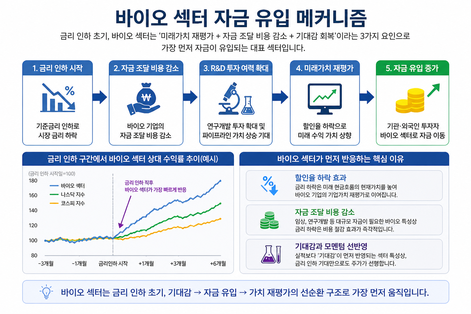 금리 인하 초기 바이오 섹터 자금 유입 구조를 단계별로 설명한 인포그래픽 (금리 하락 &rarr; 자금 조달 비용 감소 &rarr; R&amp;D 확대 &rarr; 기업가치 재평가 &rarr; 투자자금 유입 증가)