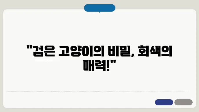 검은 고양이 vs 회색 고양이, 색깔에 따른 성격 차이점 분석