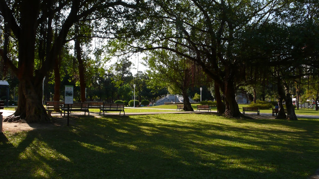 'Park'
