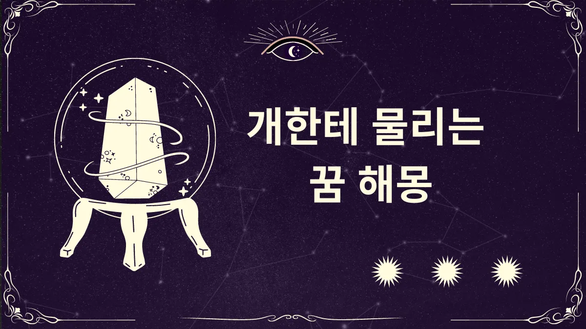 개한테 물리는 꿈 해몽 썸네일