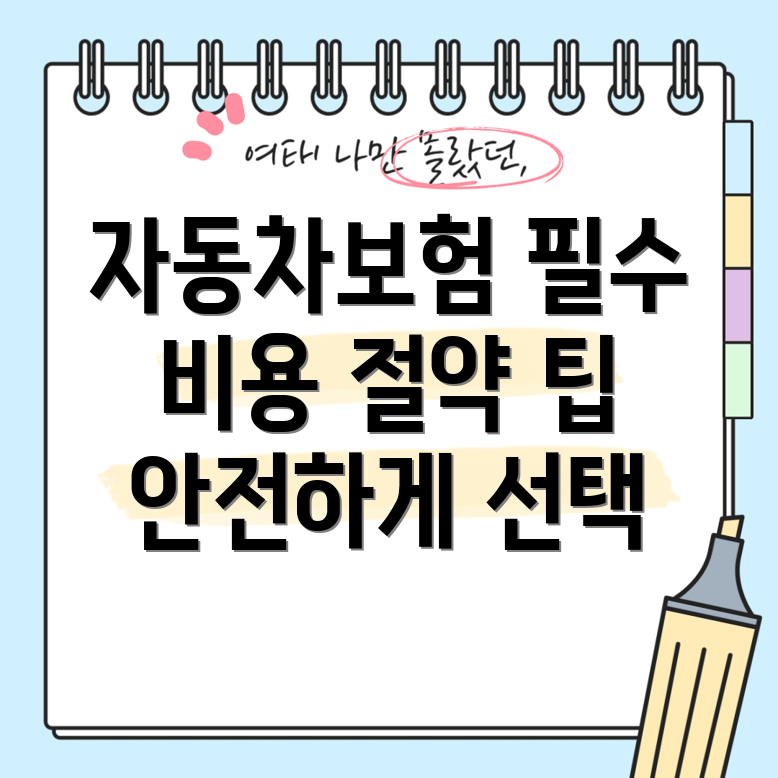 단독 자동차보험