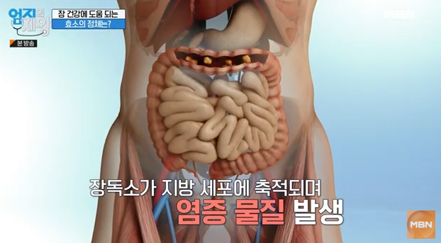 카무트, 카무트 효소