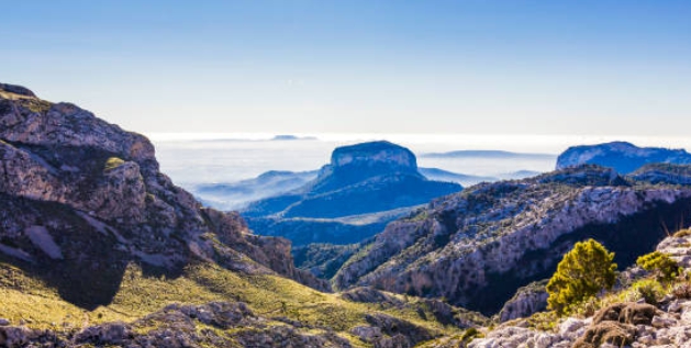 국립공원 야영장 예약