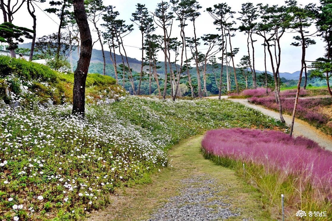 홍성솔바람테마파크