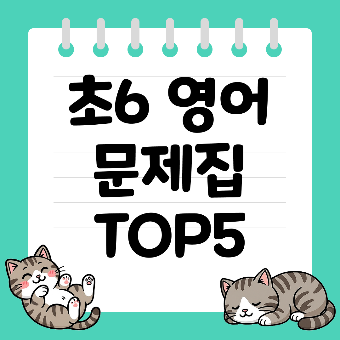 2026년 대비 초6 영어 문제집 추천 순위 TOP5