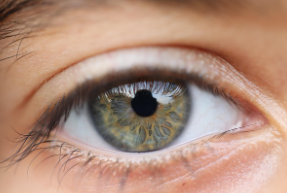 황반변성 증상 치료법 자가진단 원인