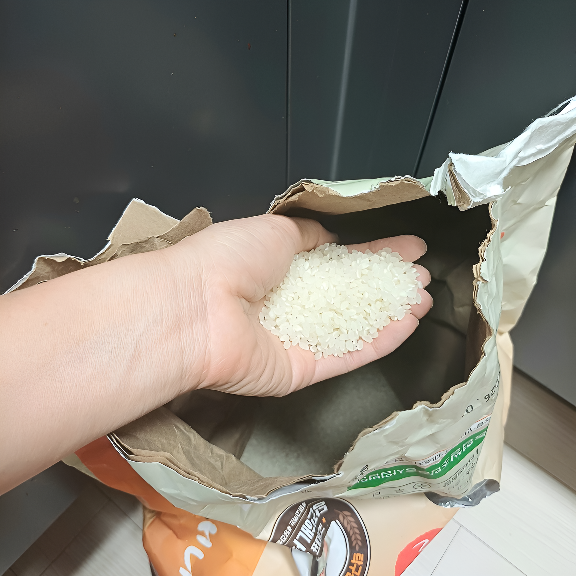 여름철 쌀 상태를 확인하는 모습