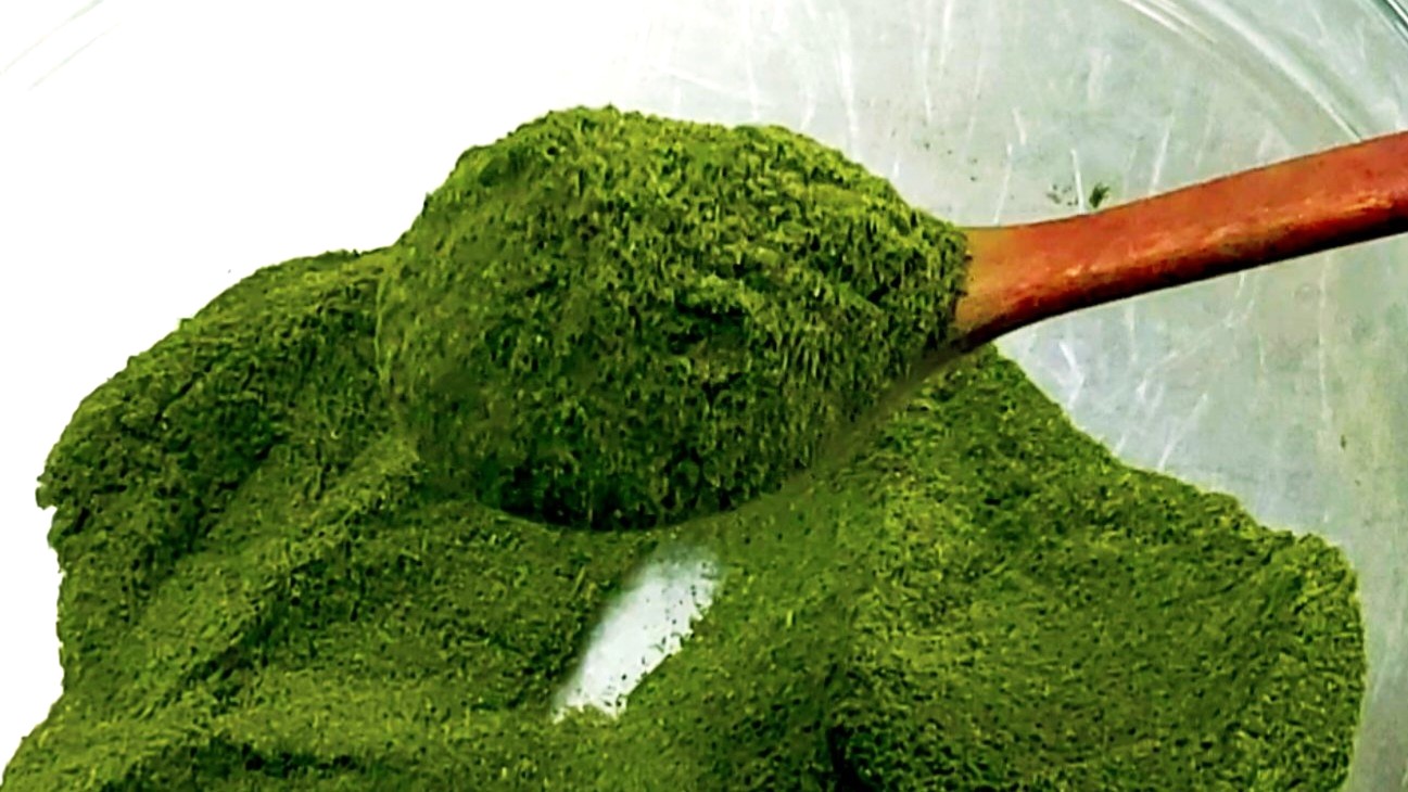 방아잎(배초향) 분말만들기