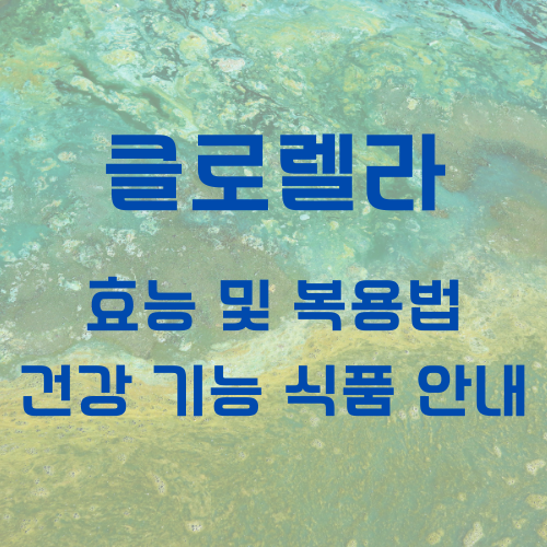 클로렐라 대표 사진