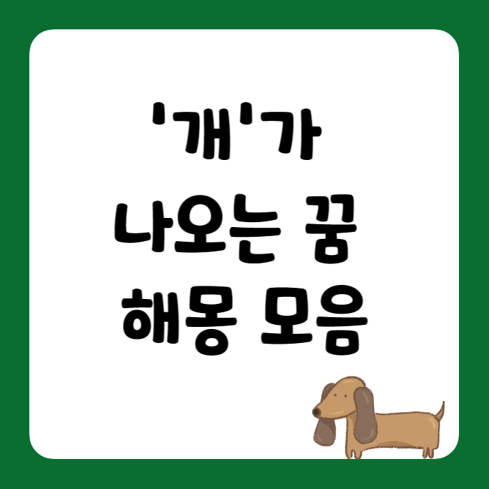 개꿈해몽