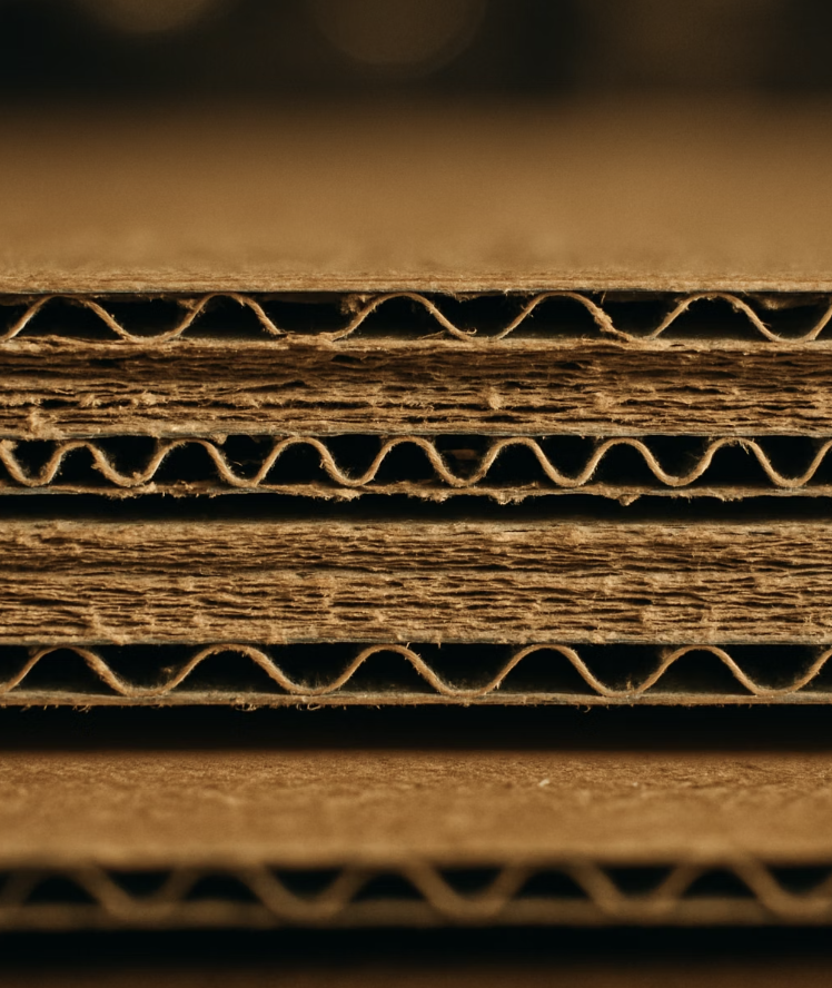 속을 보면 알 수 있어요