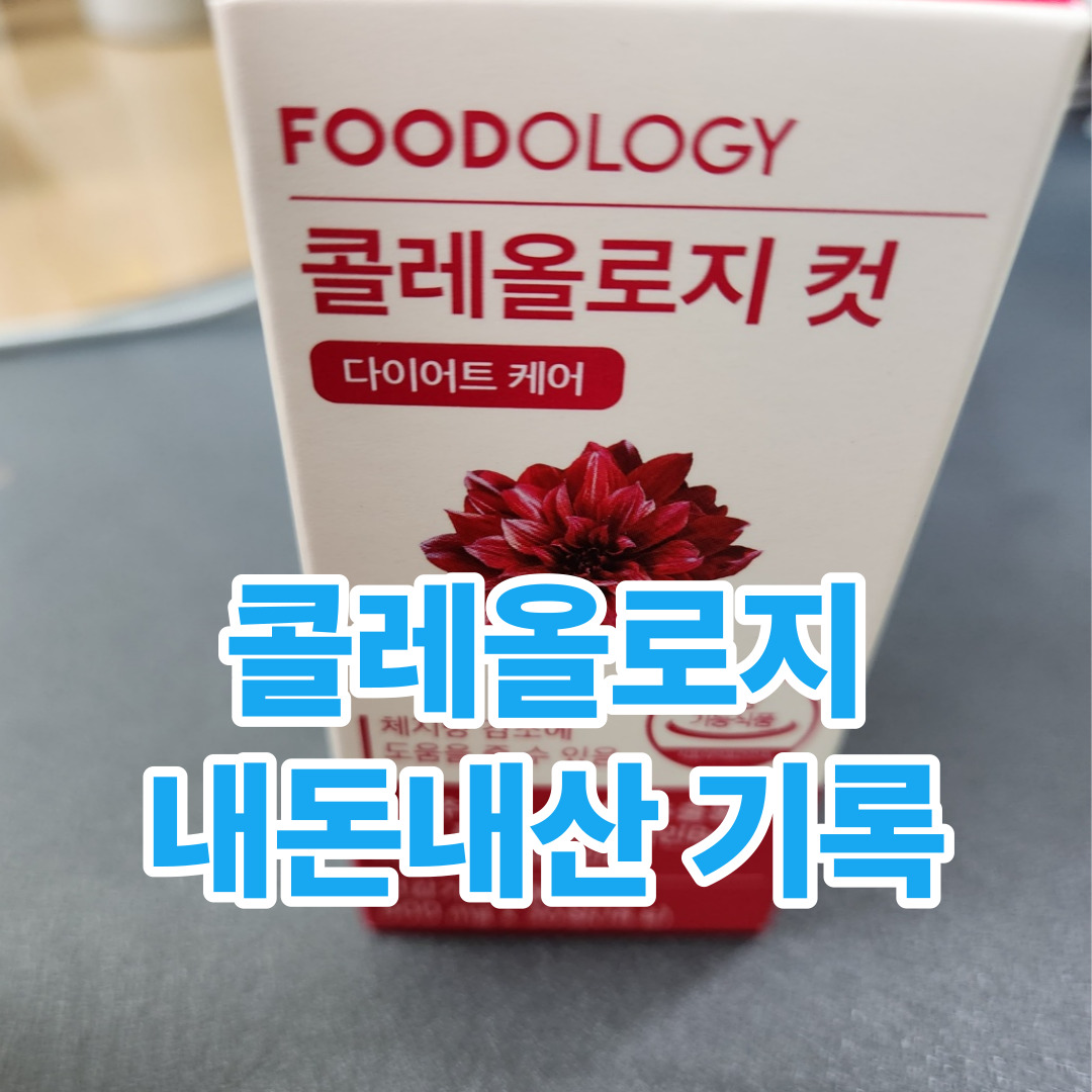 서현 빨간 통