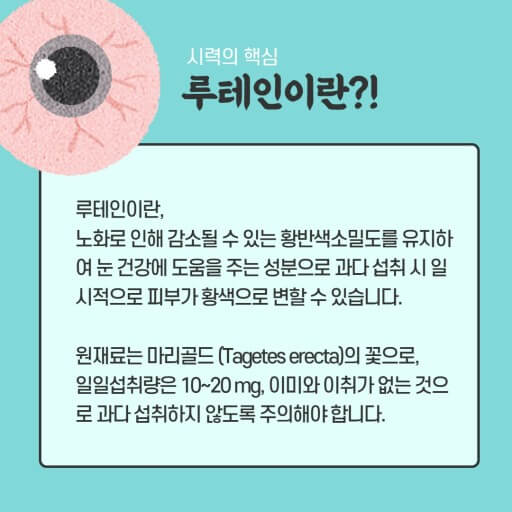 황반변성 영양