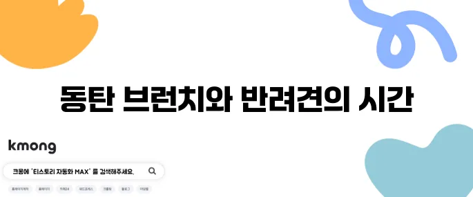 동탄에서 즐기는 브런치 카페 곰돌푸치노 그리고 실내 애견 동반이 가능한 곳입니다!