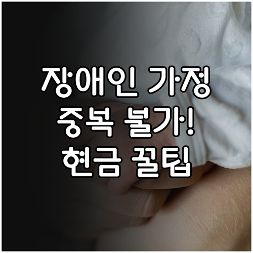 2025년 포천시 장애인가정 출산 현..