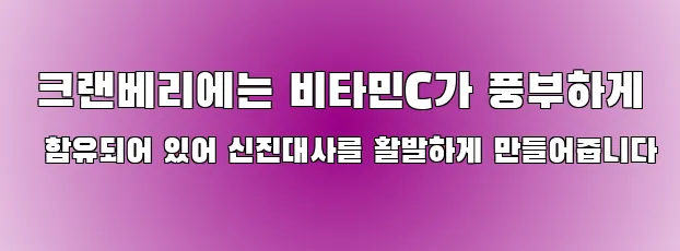  크랜베리에는 비타민C가 풍부하게 함유되어 있어 신진대사를 활발하게 만들어줍니다
