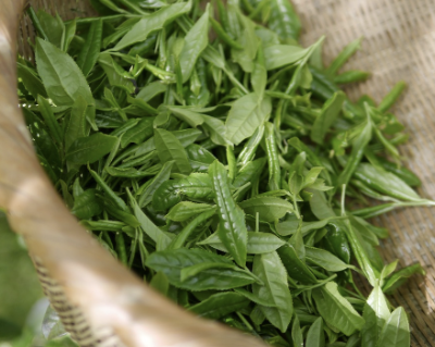 두피 가려움증 원인 11