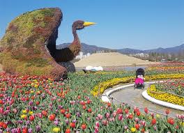 순천만국가정원 입장료 할인방법