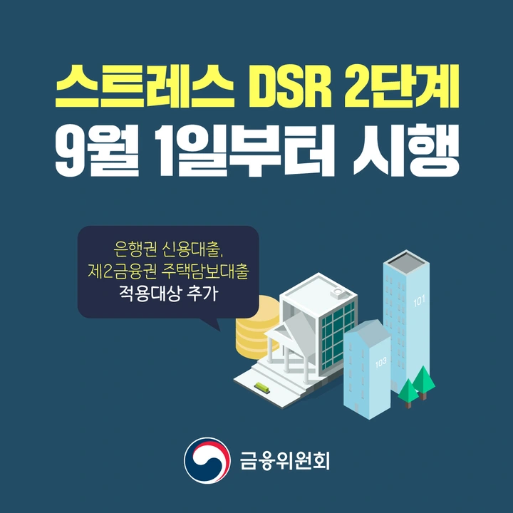 스트레스DSR이란