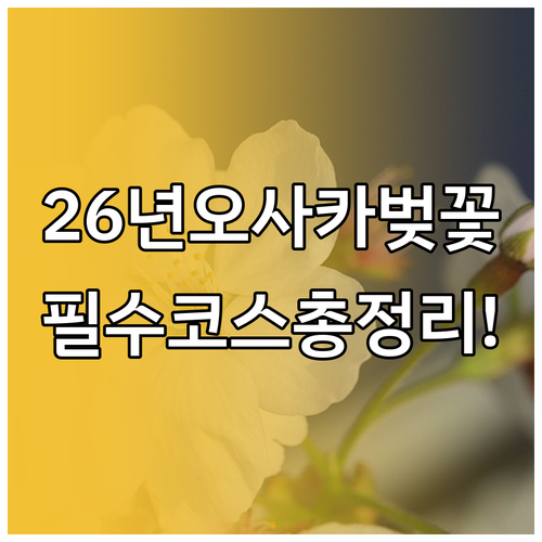 2026 오사카 벚꽃 개화 일정과 추..