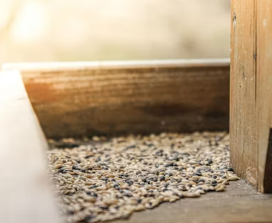 카무트 효소 효능 및 먹는법 총정리