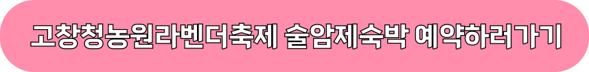 6월 축제 가볼만한 곳 (꽃축제)
