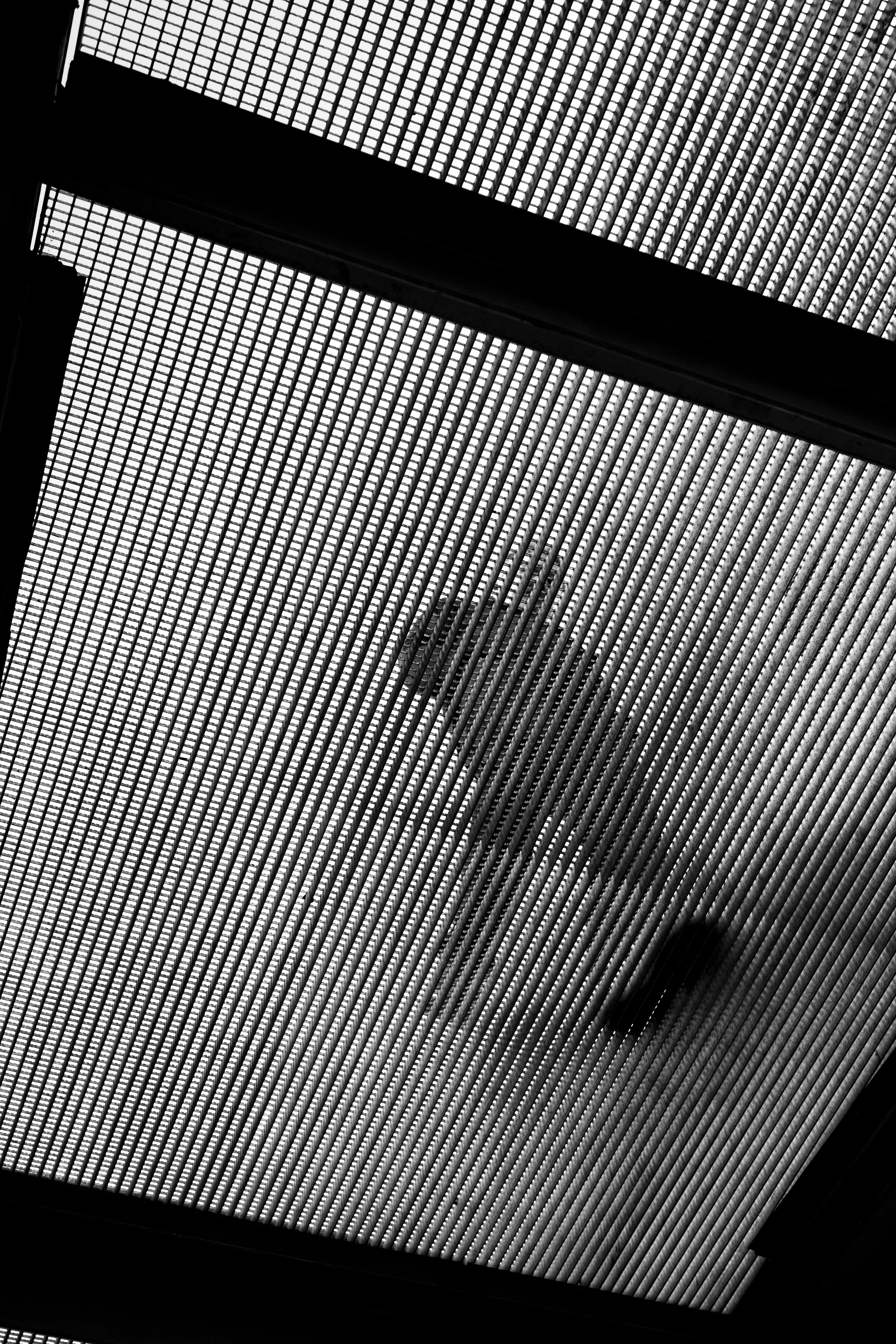 증권거래소 개장시간