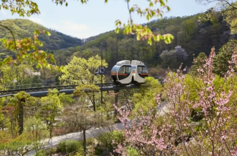 화담숲-봄-새단장