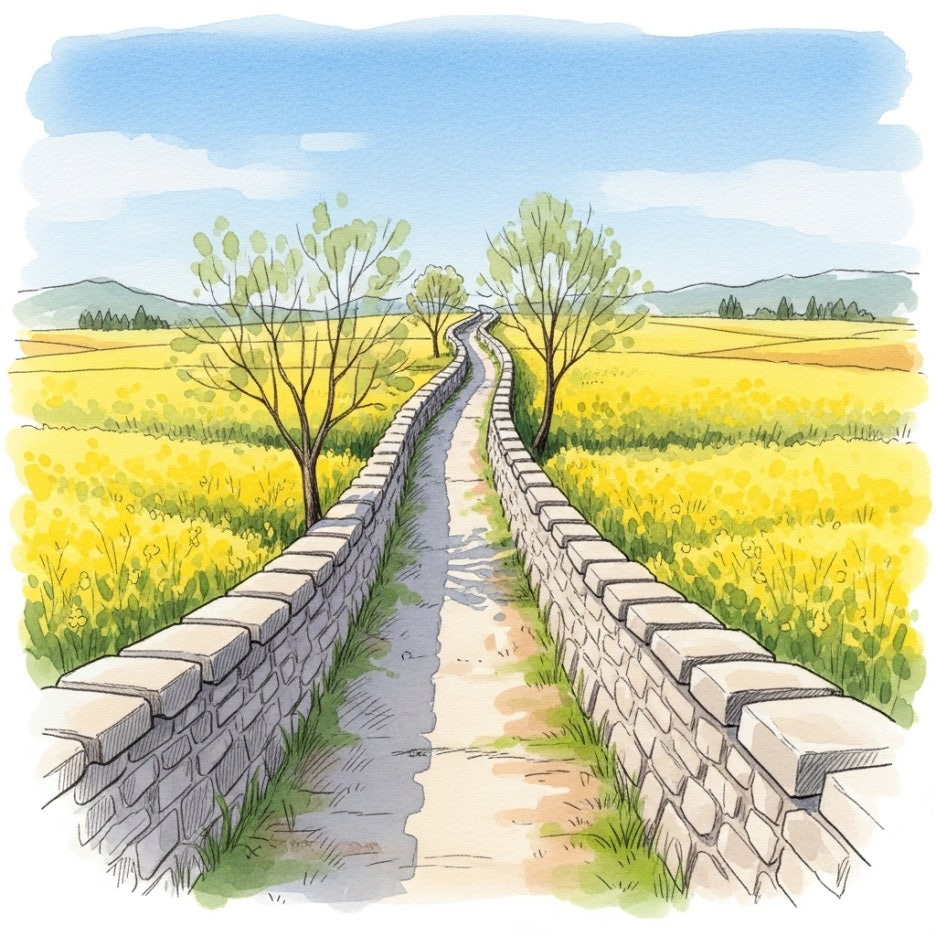 서편제 촬영지 주변의 화사한 유채꽃길